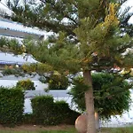 Alania Sea View Apartament *