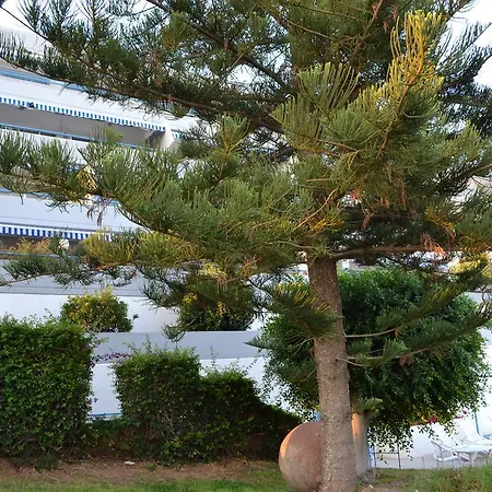 Alania Sea View Daire *