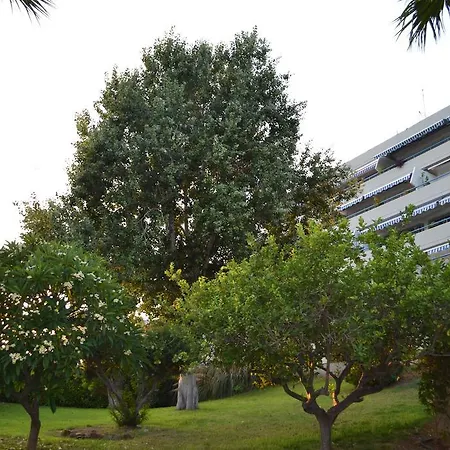 Daire Alania Sea View *