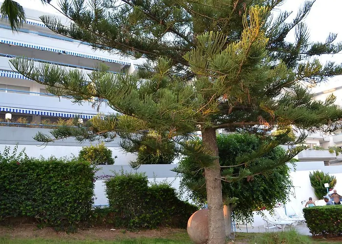 Alania Sea View Apartamento *